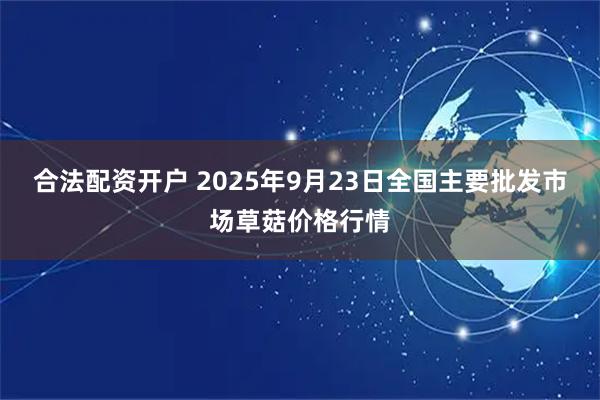 合法配资开户 2025年9月23日全国主要批发市场草菇价格行情