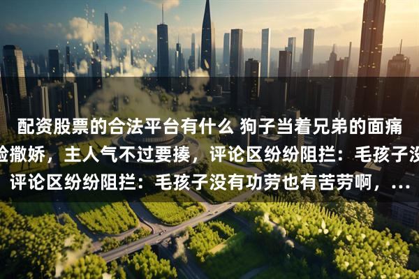 配资股票的合法平台有什么 狗子当着兄弟的面痛骂主人，回家后立马变脸撒娇，主人气不过要揍，评论区纷纷阻拦：毛孩子没有功劳也有苦劳啊，…